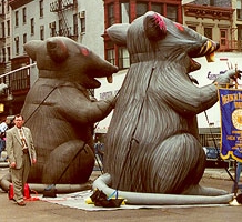 Rats as protest symbols, 2000