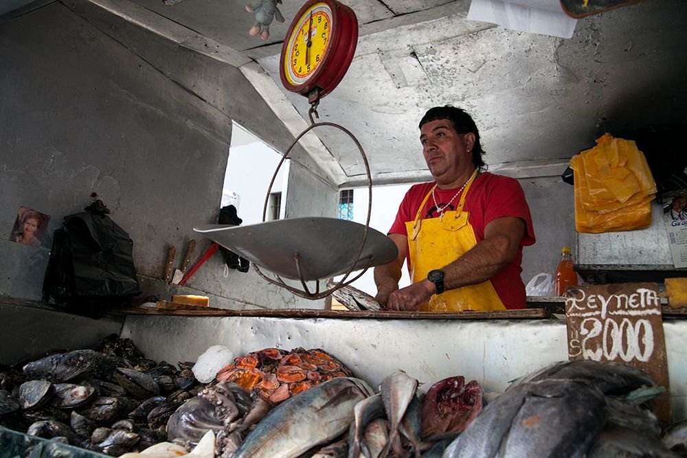 Chilean Worker